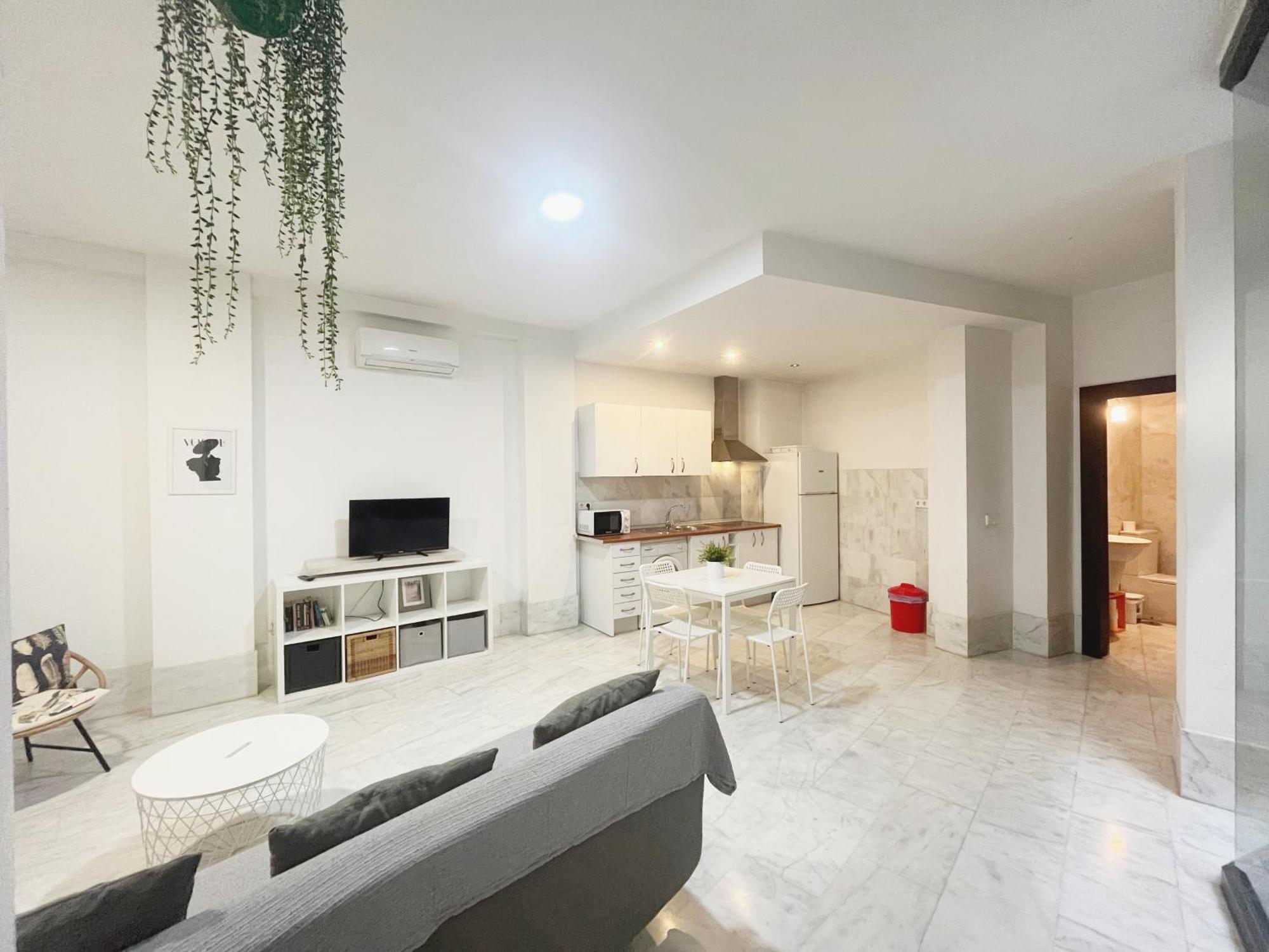 Appartamento Center Confort 5 *